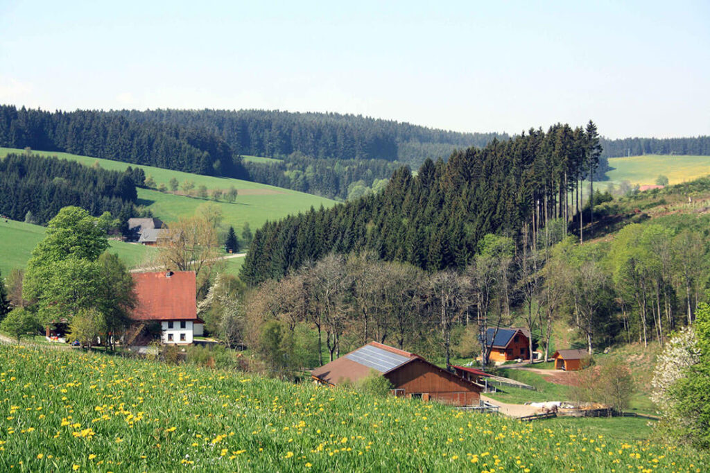Jäckleshof - St. Georgen - Brigach