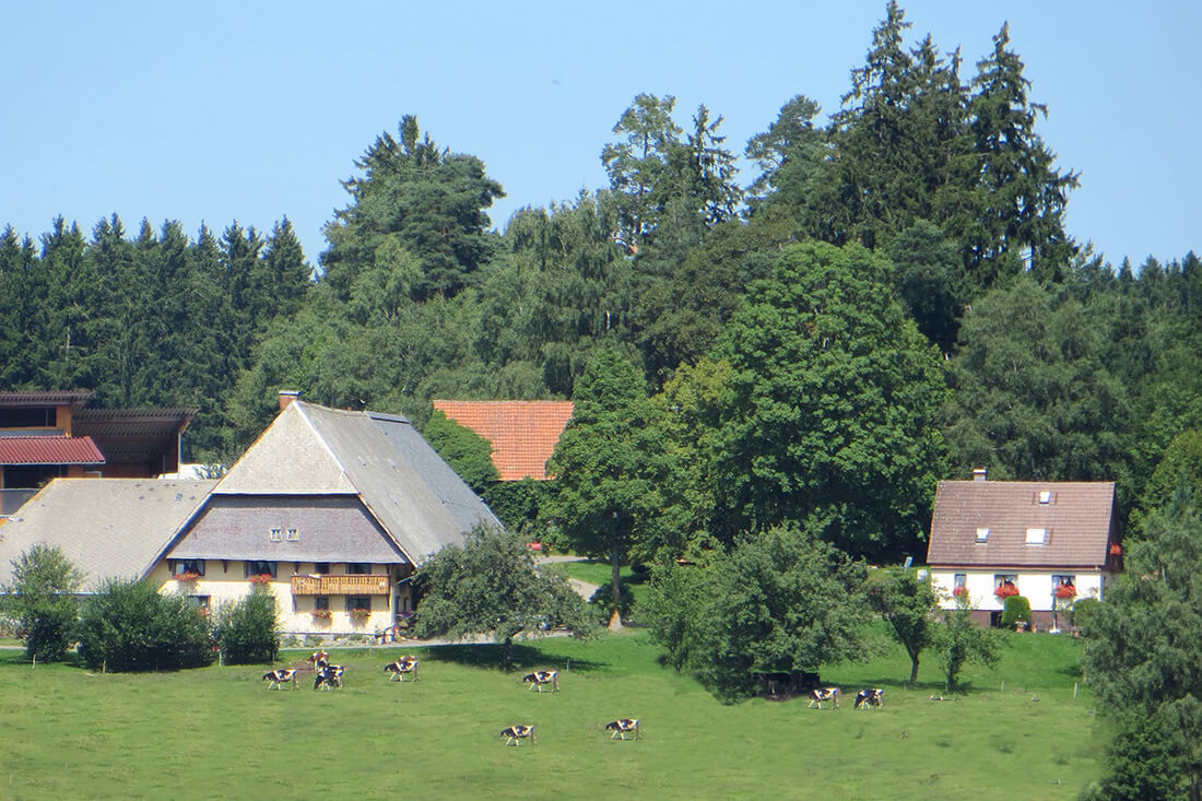 Leihwieserhof - St.Georgen