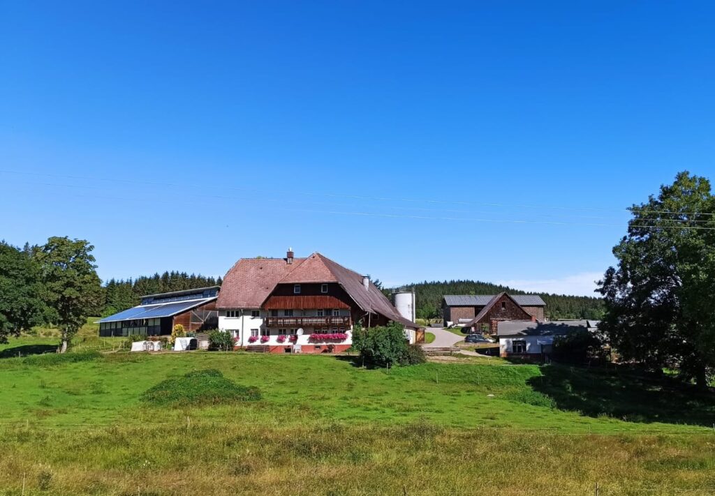 Zuckerbauernhof - St. Georgen - Langenschiltach