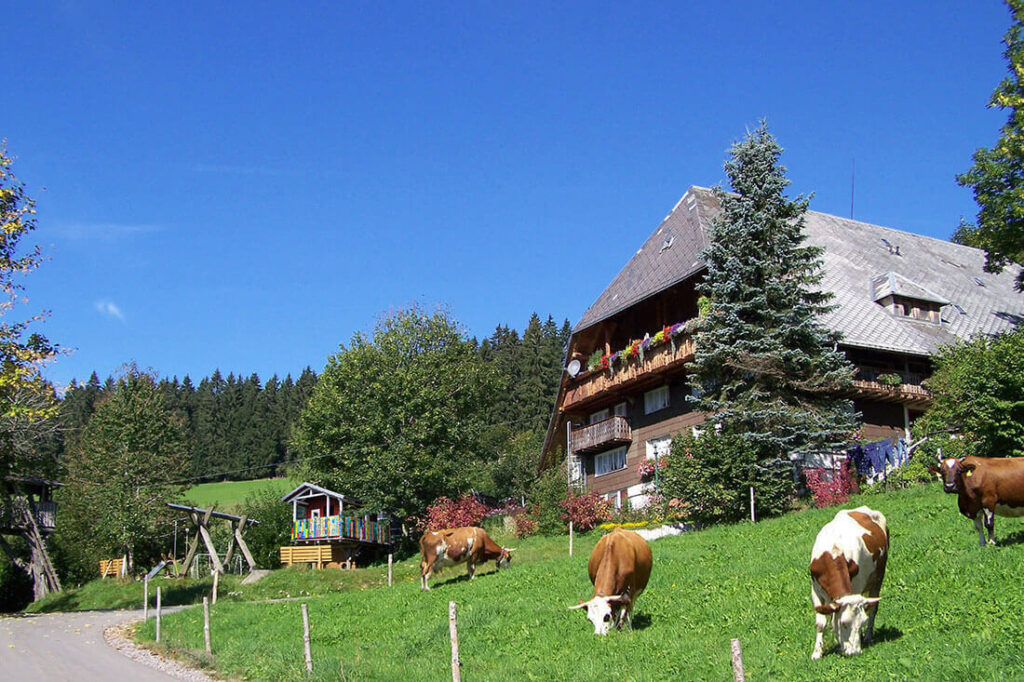 Bartleshof - Vöhrenbach