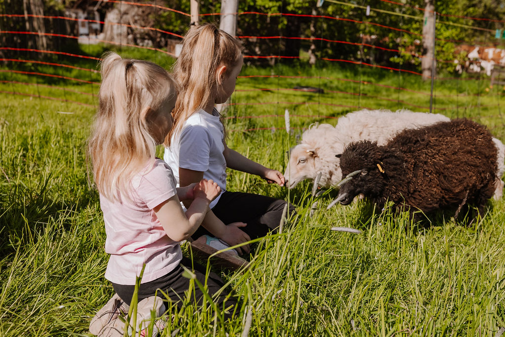 Haldenmathisenhof Schönwald - Familie Weiss