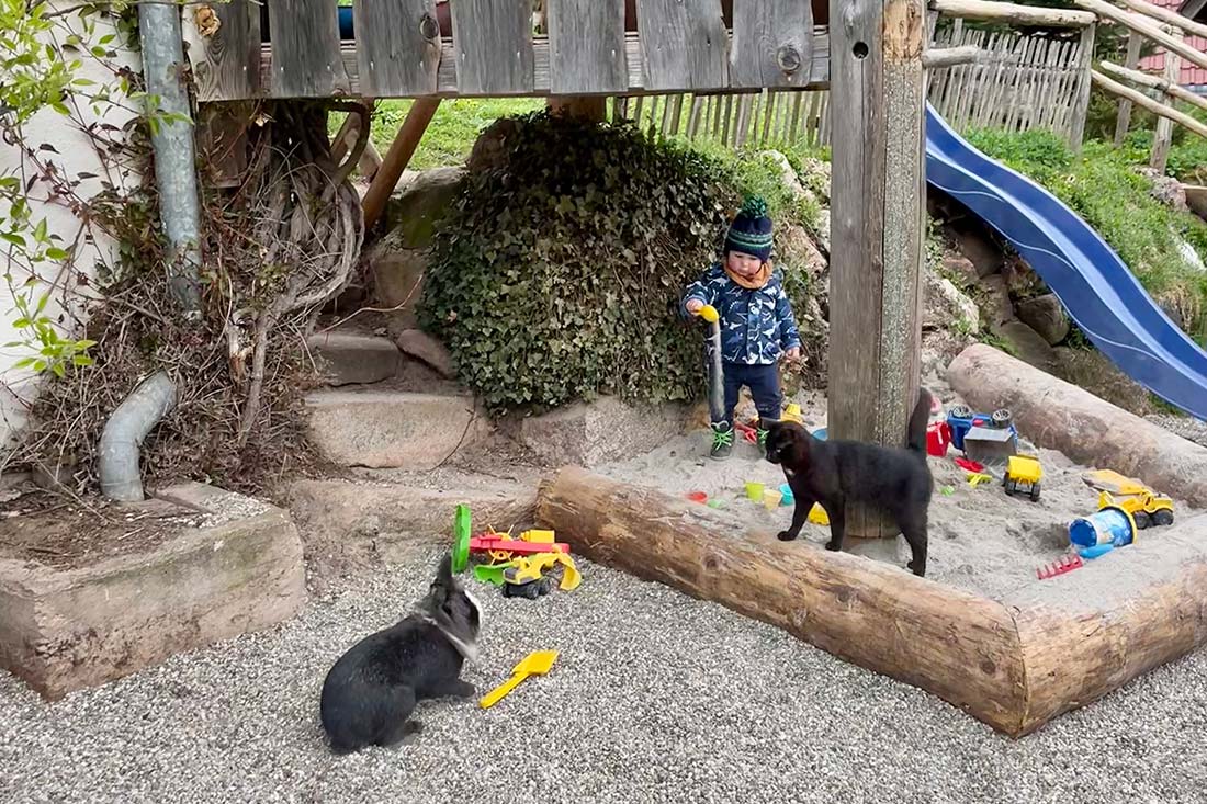 Hirzbauernhof - St. Georgen - Brigach